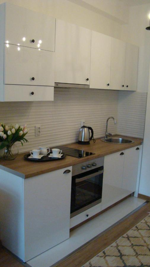 Appartement Gagovic à Cetinje Extérieur photo